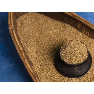 Kaattu kambu