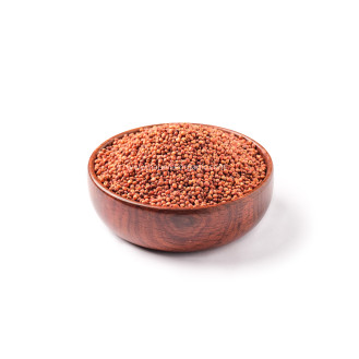 சிவப்பு சோளம்-Red Sorghum