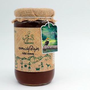 Wild forest honey 